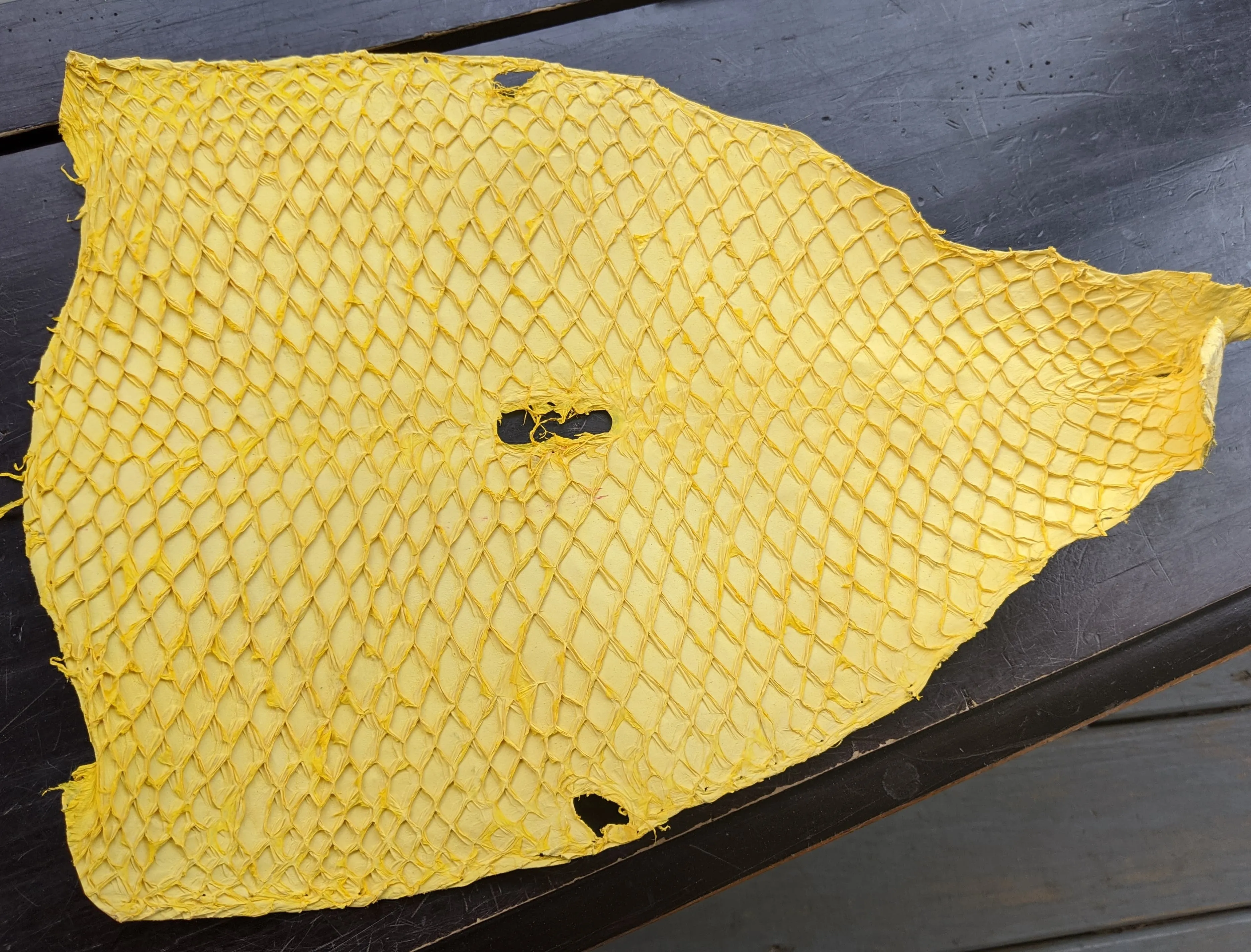 Carp