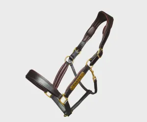 Fairfax Headcollar  Black