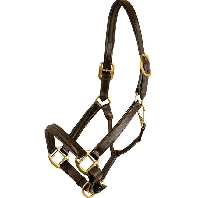 Flex Rider Chocolate Raised Leather Halter