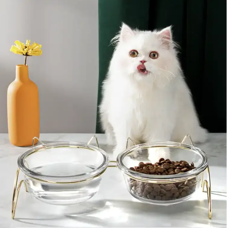 Glass Pet Food   Water Bowl - Meow/Woof Dual Dish Stand