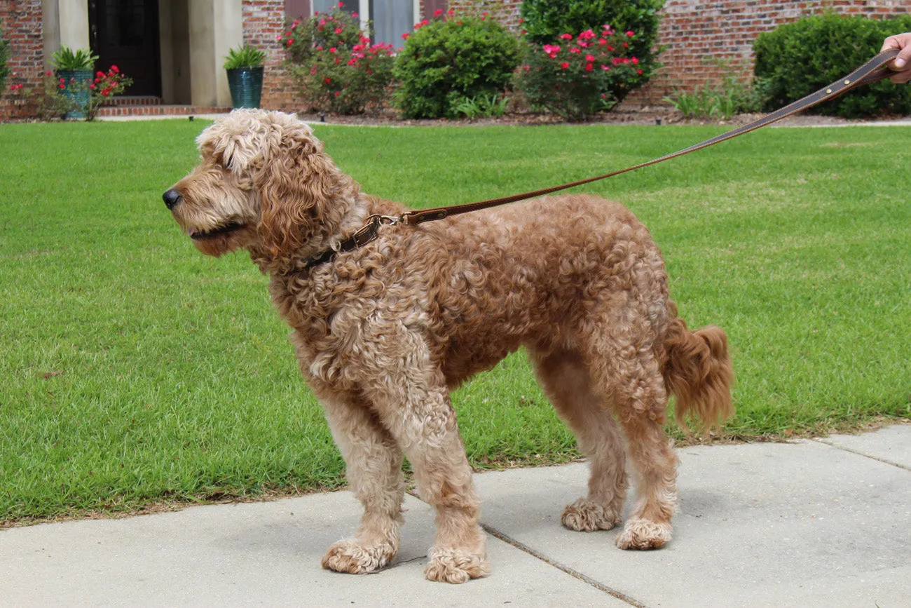 Griff Leather Dog Leash