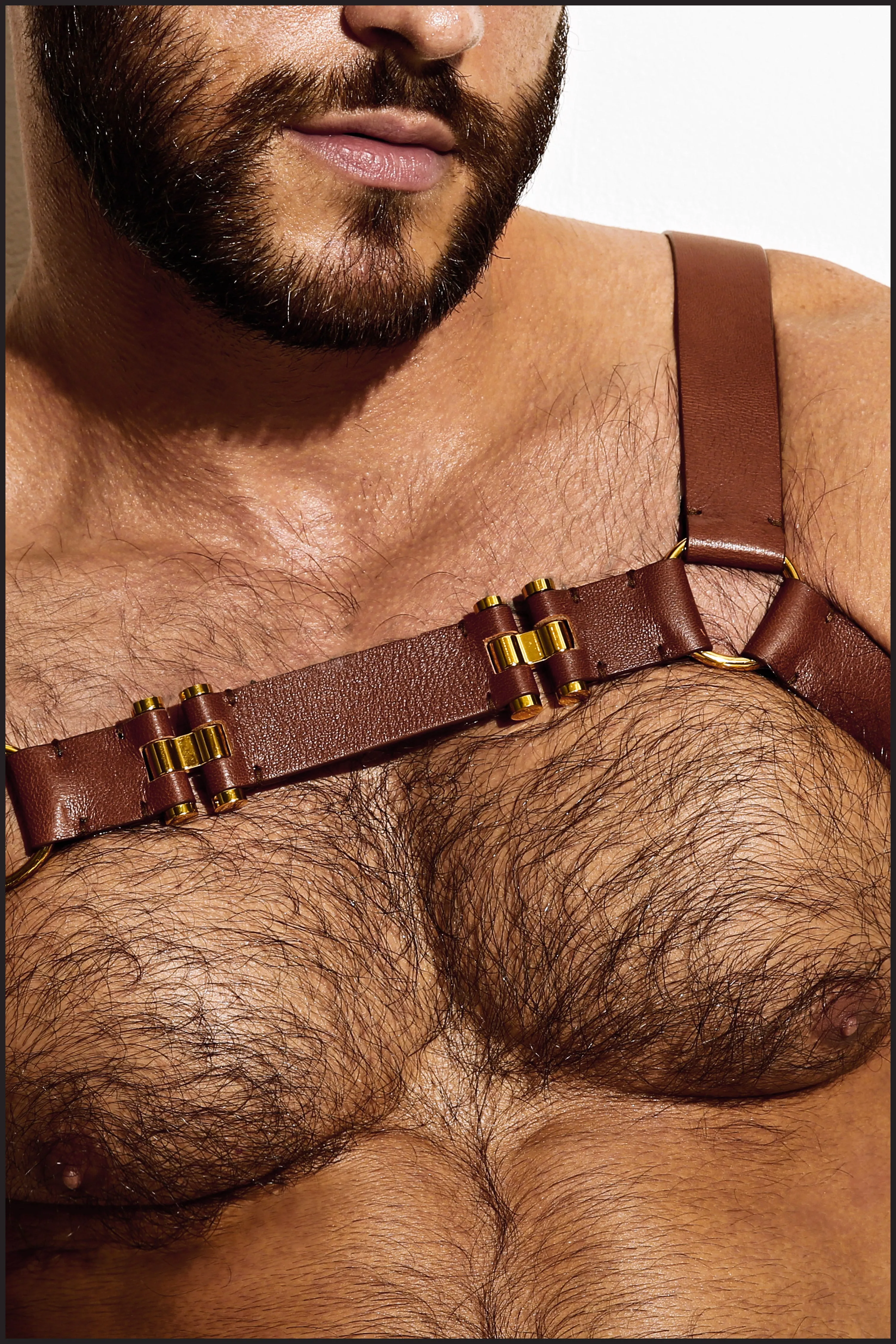 Leather Chest Harness
