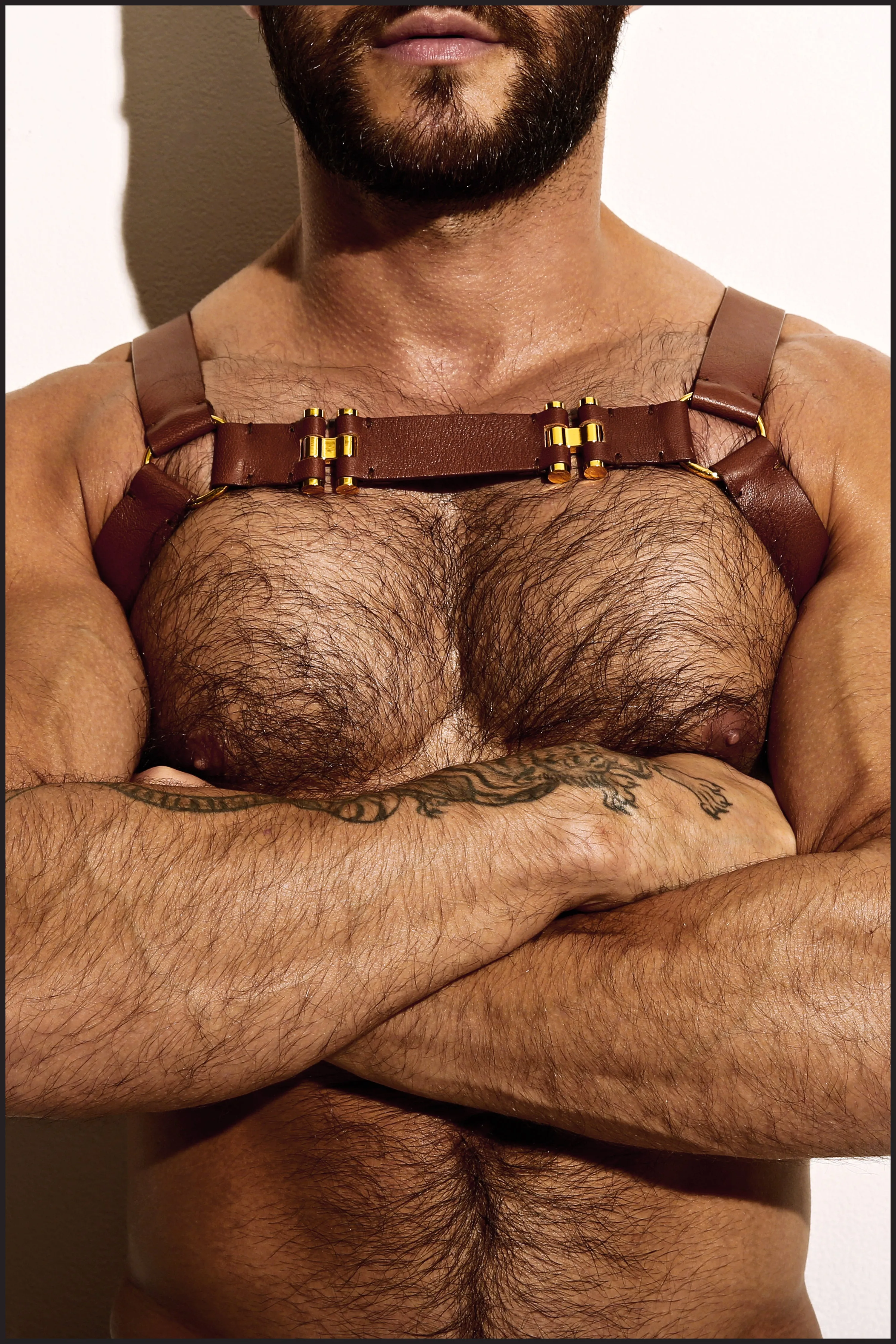 Leather Chest Harness