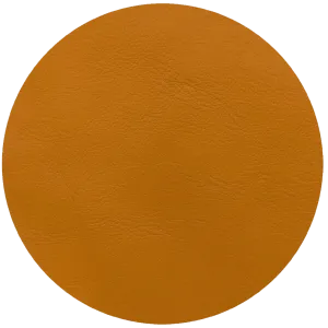 Leather Dye Paint Almond
