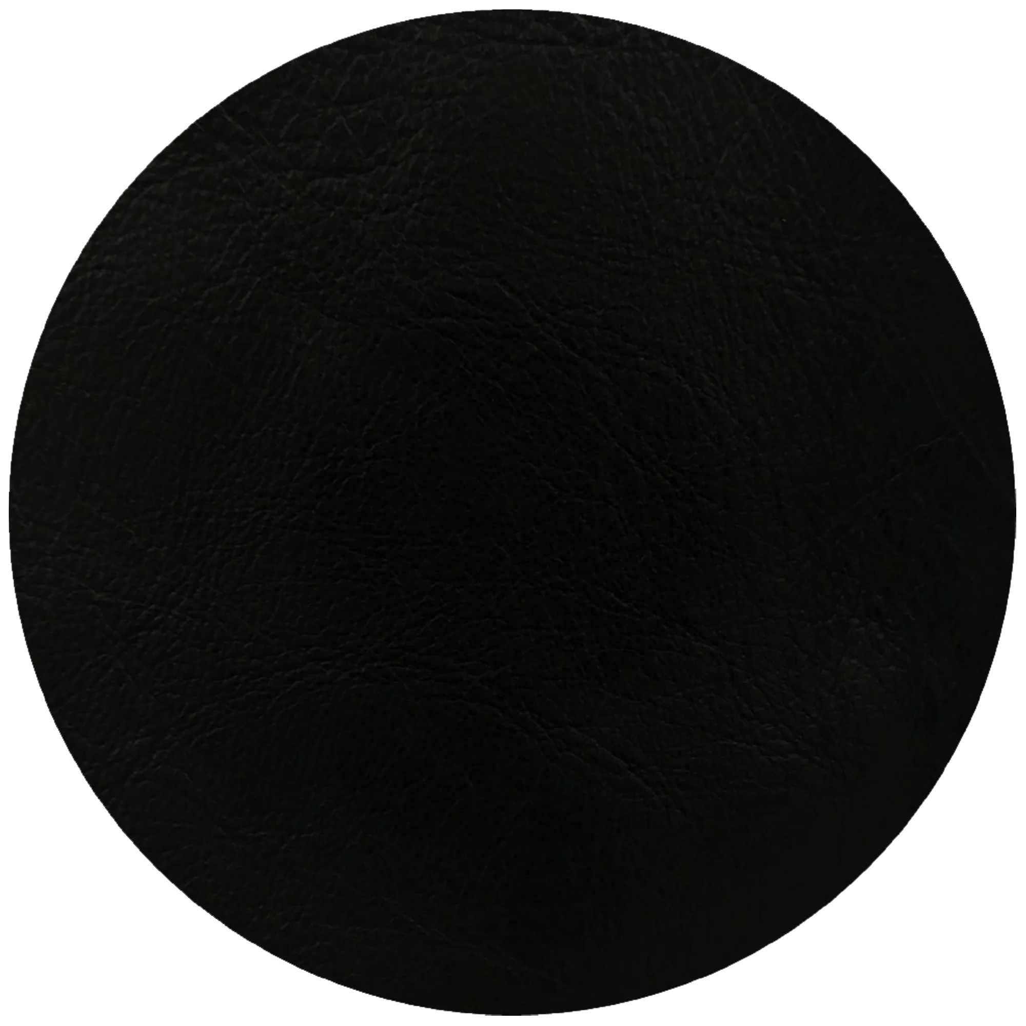 Leather Dye Paint Black