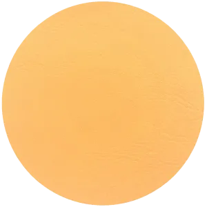 Leather Dye Paint Parchment