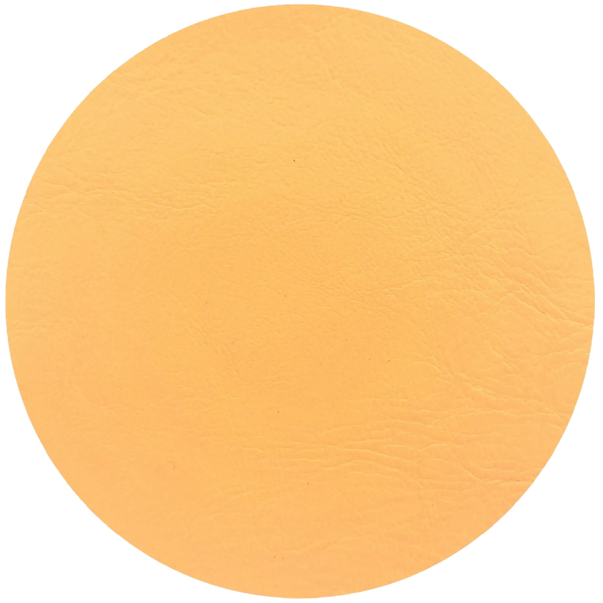 Leather Dye Paint Parchment