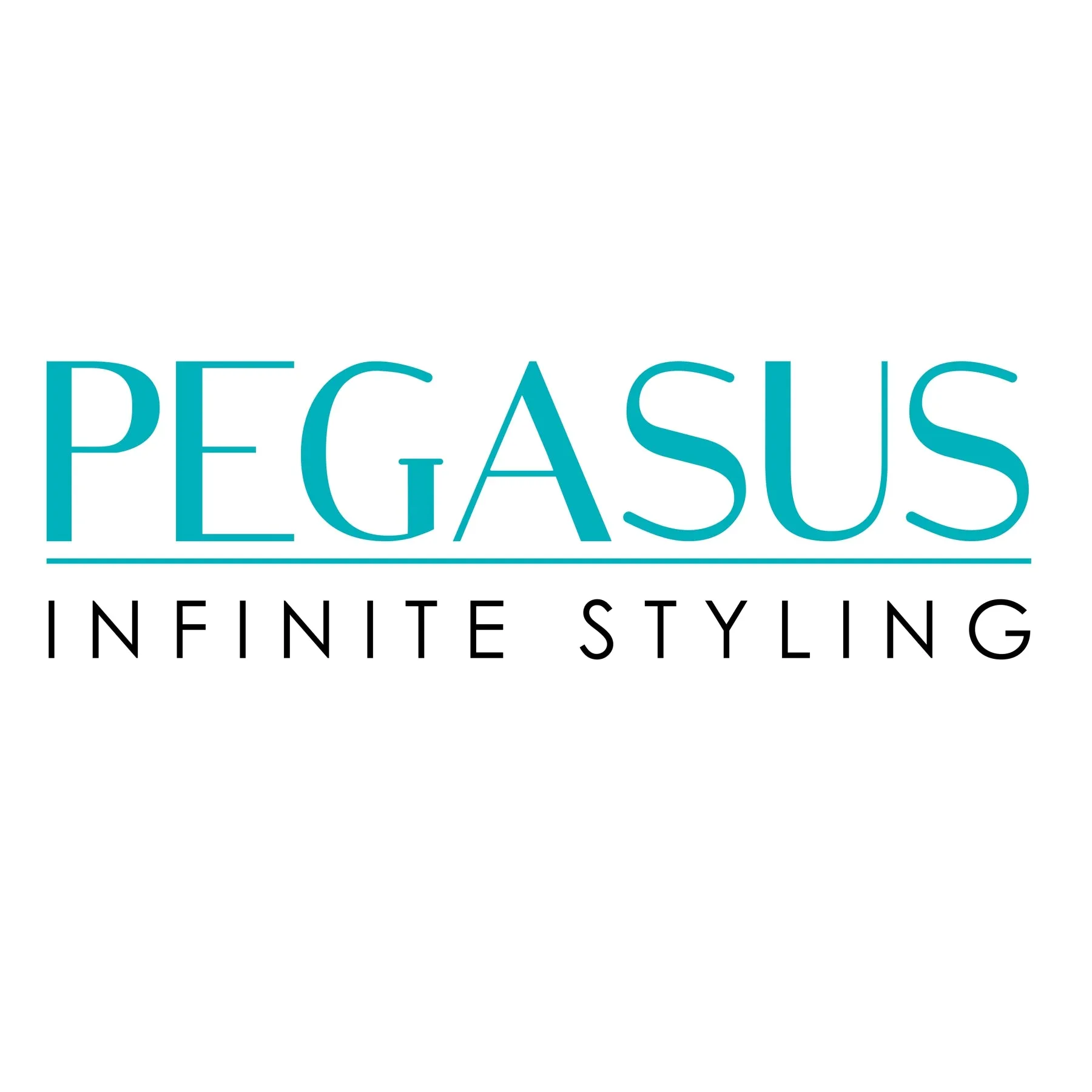 Pegasus 516B, 8in Hard Rubber Course Tooth Klipper Comb, Handmade, Seamless, Smooth Edges, Anti Static, Heat and Chemically Resistant Comb | Peines de goma dura - Black