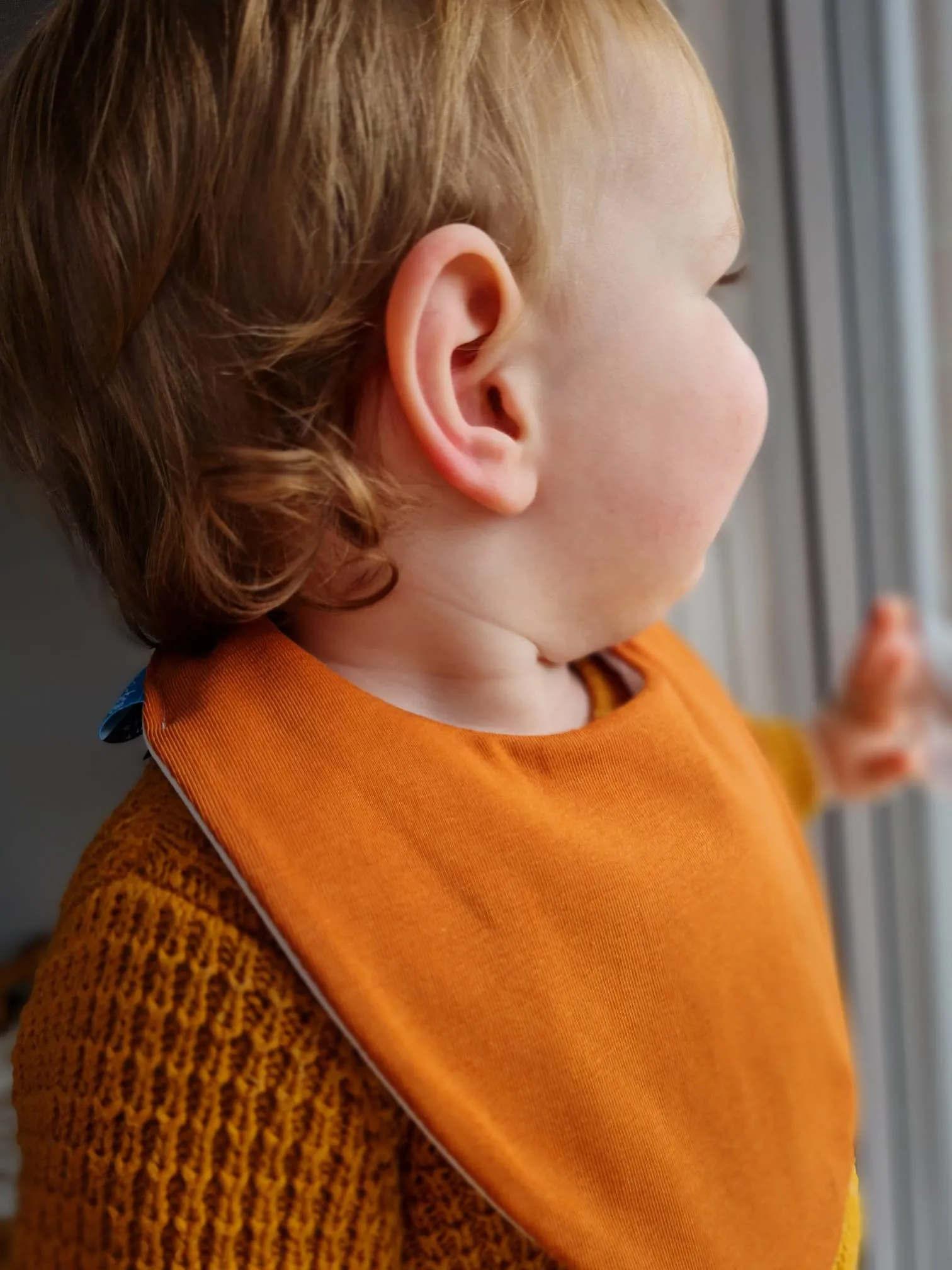 Rust Waterproof Dribble Bib