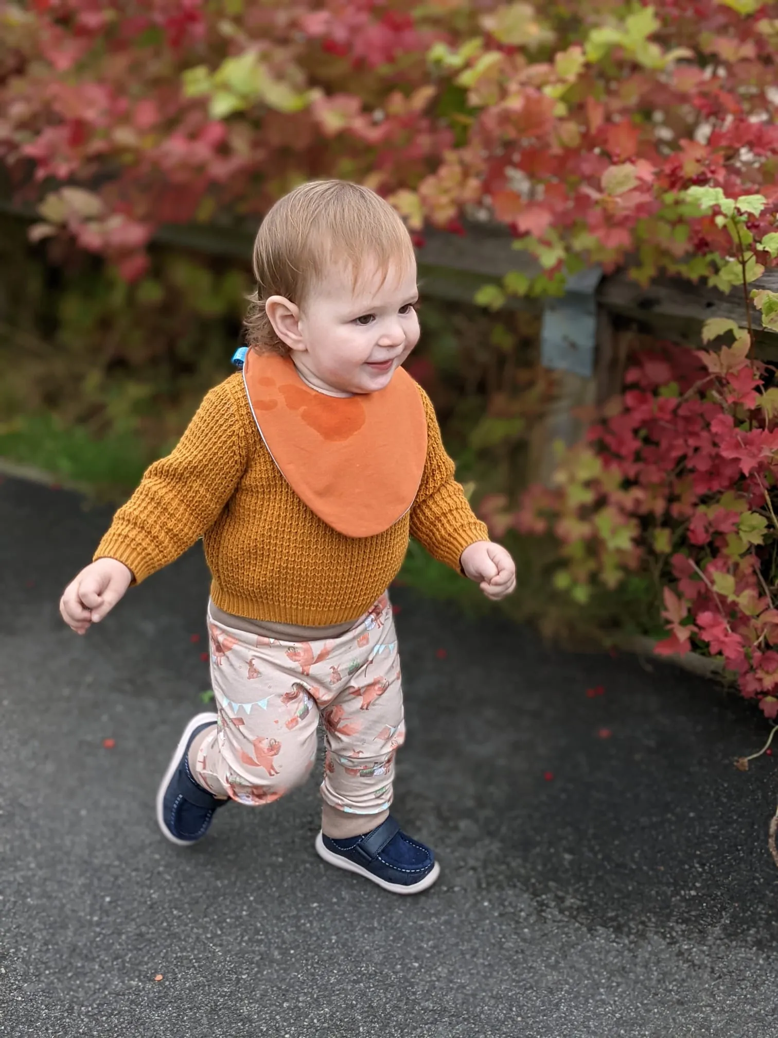 Rust Waterproof Dribble Bib