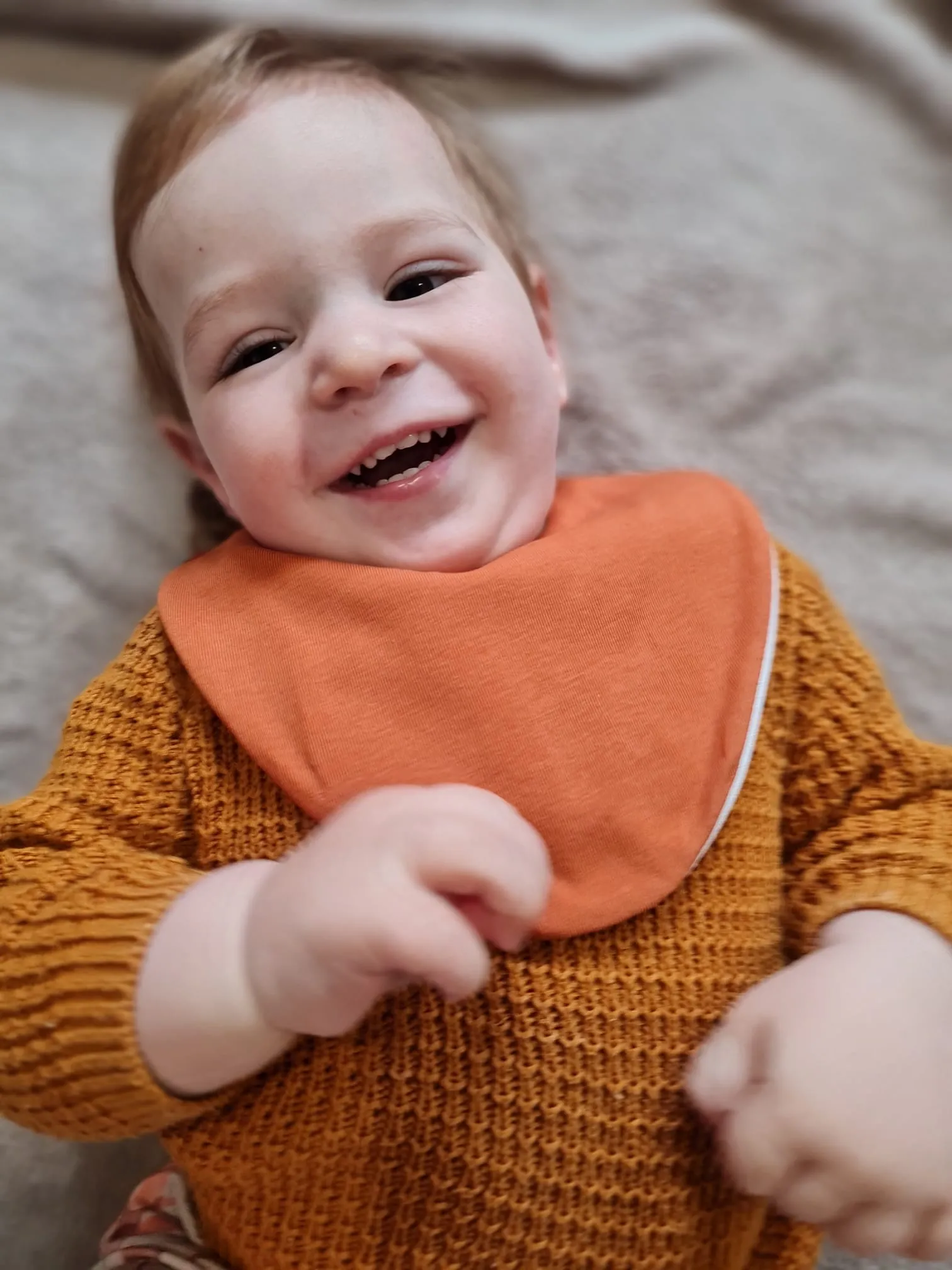 Rust Waterproof Dribble Bib