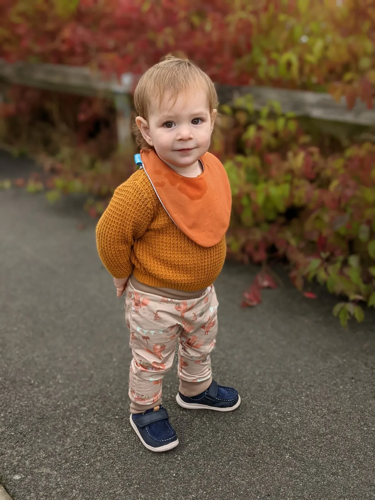 Rust Waterproof Dribble Bib