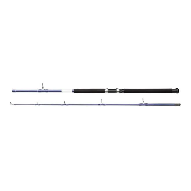 SALT Boat Rod