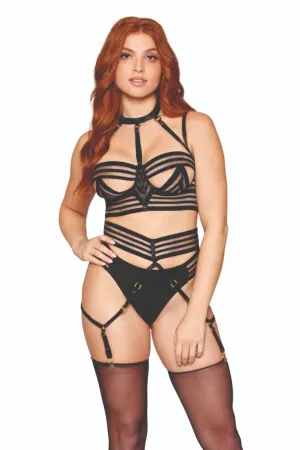 Sheer Striped Underwire Bra and Garter Belt Set