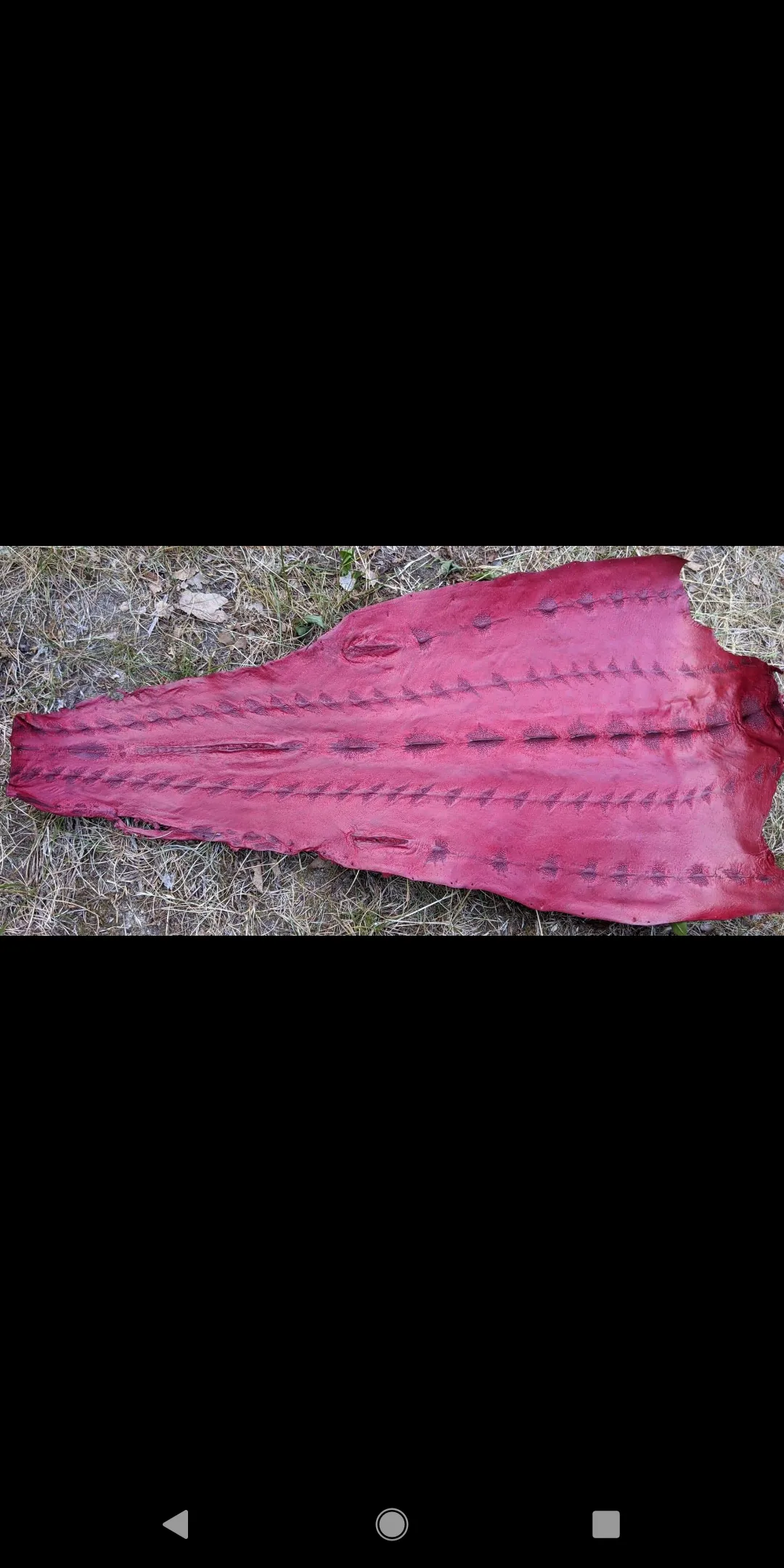 Sturgeon Leather