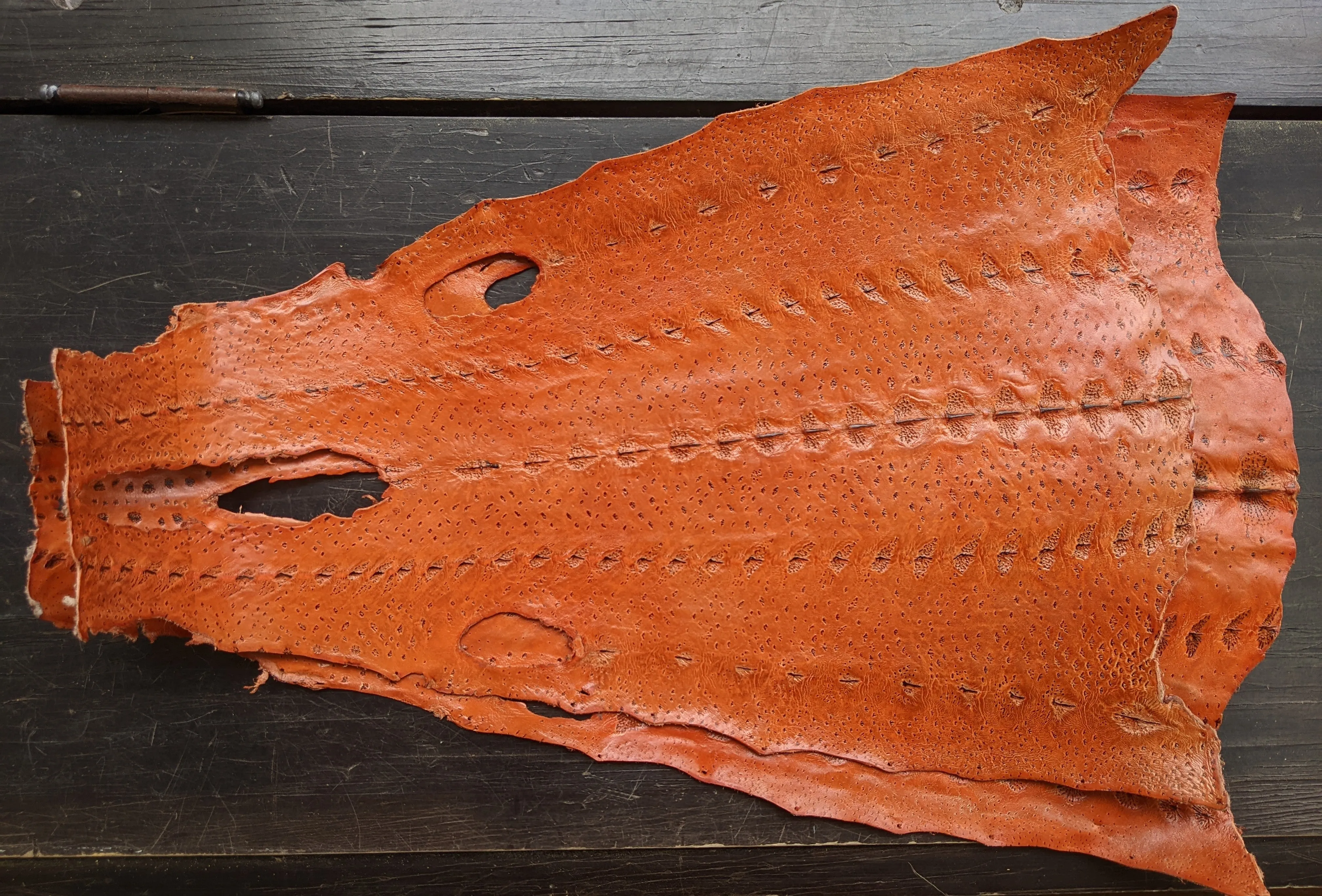 Sturgeon Leather