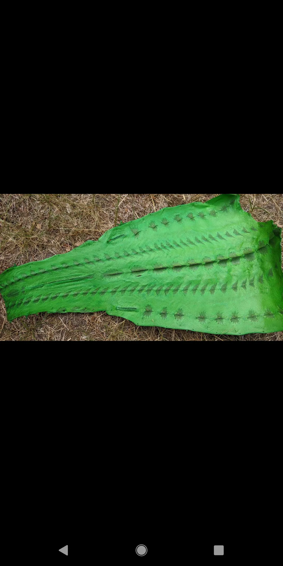 Sturgeon Leather
